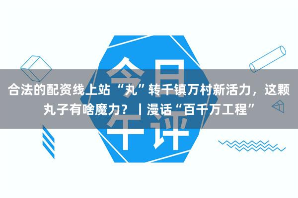 合法的配资线上站 “丸”转千镇万村新活力，这颗丸子有啥魔力？丨漫话“百千万工程”