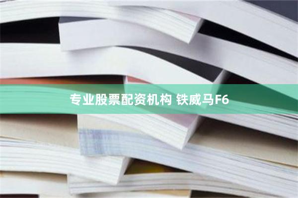 专业股票配资机构 铁威马F6