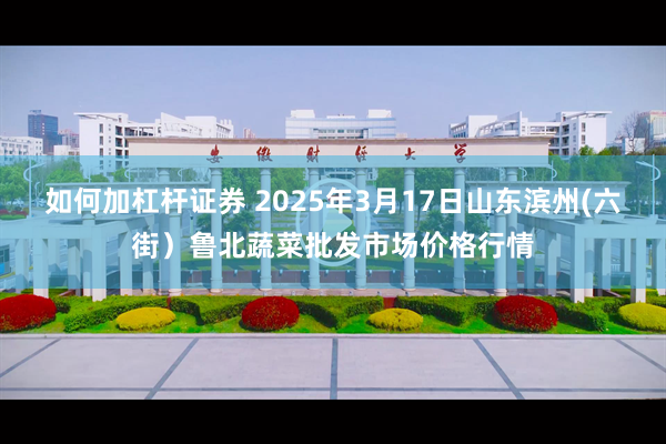 如何加杠杆证券 2025年3月17日山东滨州(六街)鲁北蔬菜批发市场价格行情