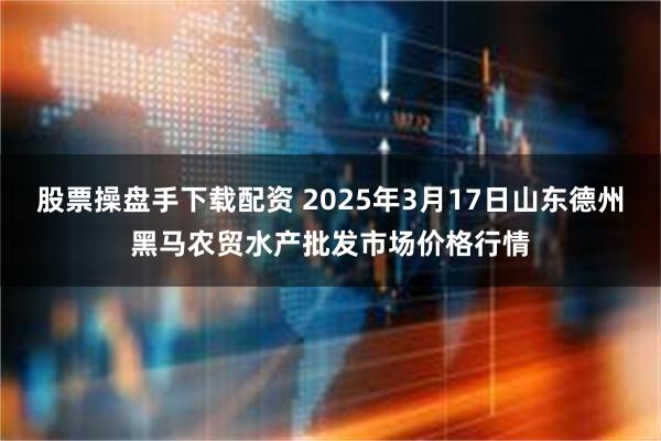 股票操盘手下载配资 2025年3月17日山东德州黑马农贸水产批发市场价格行情