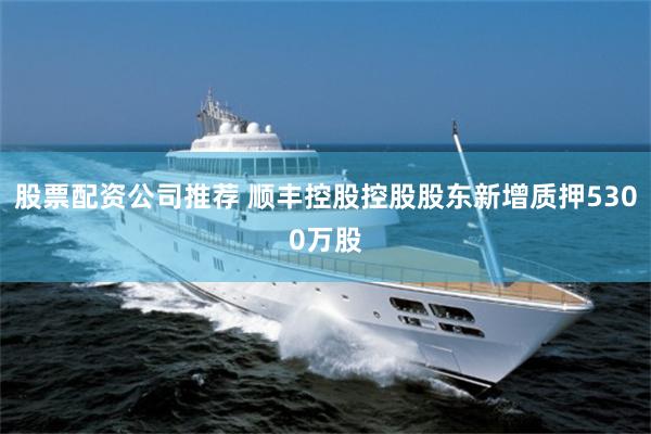 股票配资公司推荐 顺丰控股控股股东新增质押5300万股
