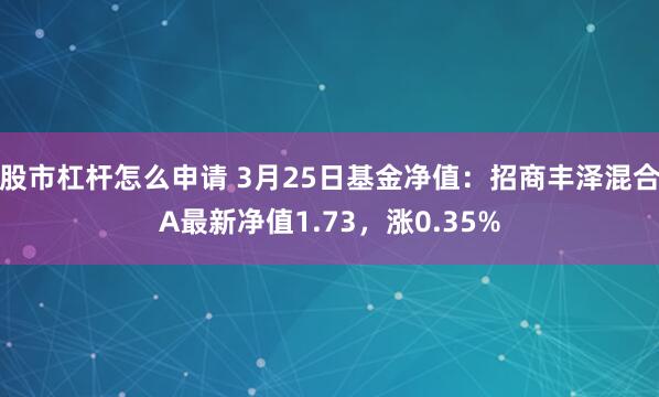股市杠杆怎么申请 3月25日基金净值：招商丰泽混合A最新净值1.73，涨0.35%