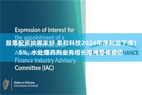 股票配资找哪家好 泰和科技2024年净利润下滑15%, 水处理药剂业务增长难掩整体疲态