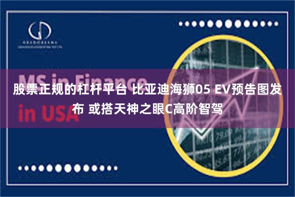 股票正规的杠杆平台 比亚迪海狮05 EV预告图发布 或搭天神之眼C高阶智驾
