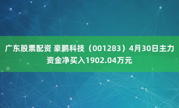 广东股票配资 豪鹏科技（001283）4月30日主力资金净买入1902.04万元