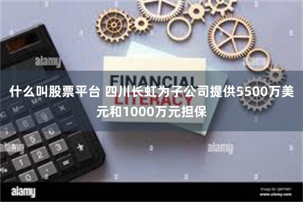 什么叫股票平台 四川长虹为子公司提供5500万美元和1000万元担保