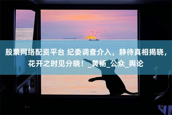 股票网络配资平台 纪委调查介入，静待真相揭晓，花开之时见分晓！_黄杨_公众_舆论