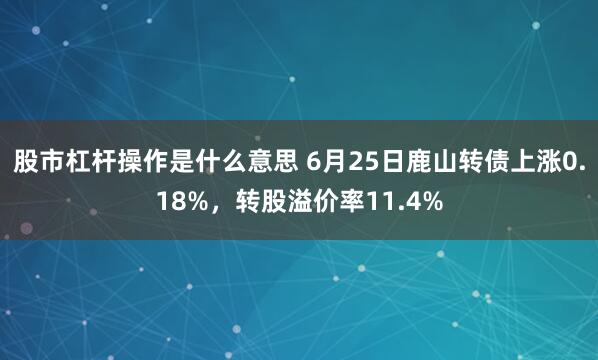 股市杠杆操作是什么意思 6月25日鹿山转债上涨0.18%，转股溢价率11.4%